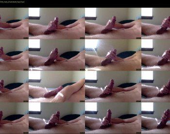 franks_p91_