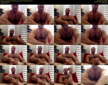 musclbear