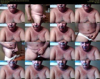 tbear66