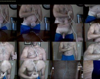 coltmusclebear