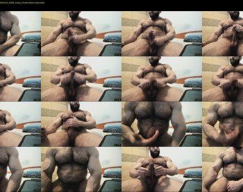 heavilymuscledbeast