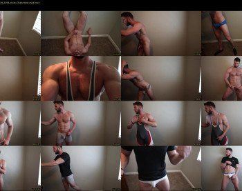 about_the_bulge