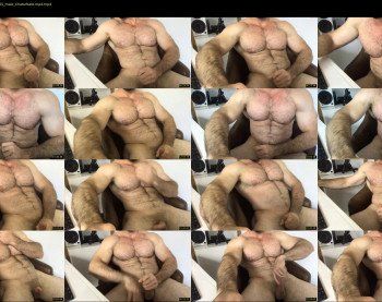 stroke511