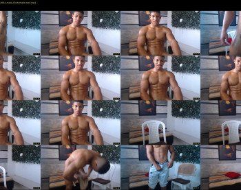 teddyfit19cm