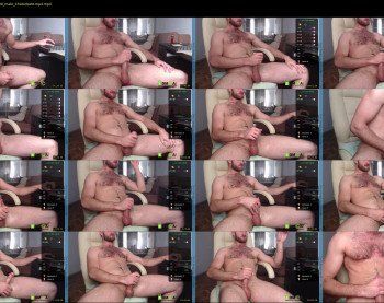 hot_bear_