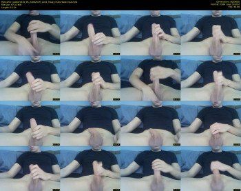 justborrd19_95