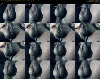 bigblackmuller258