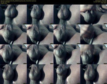 bigblackmuller258