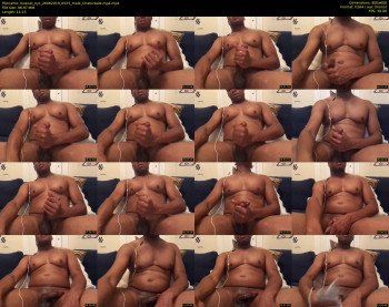 lovecat_nyc