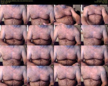 silfurdaddy