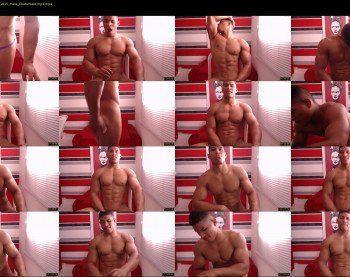 teddyfit19cm