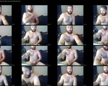 thebeardguy69