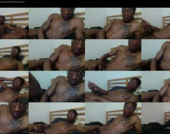 bigdummy7