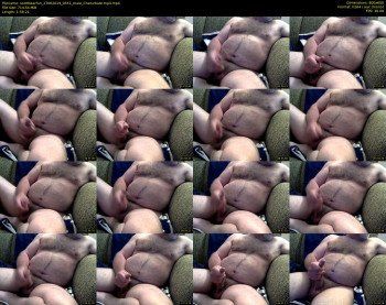 scottbearfun