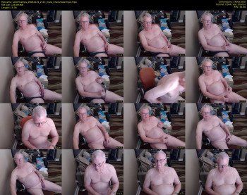 silverfoxmps
