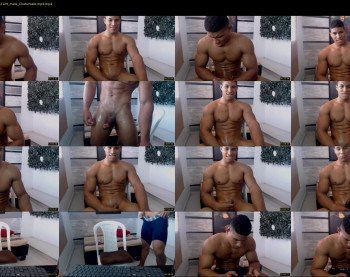 teddyfit19cm