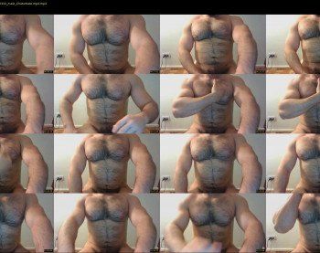 gorillaboy23