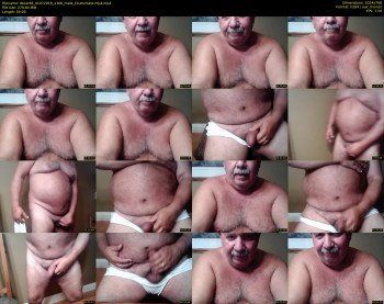 tbear66