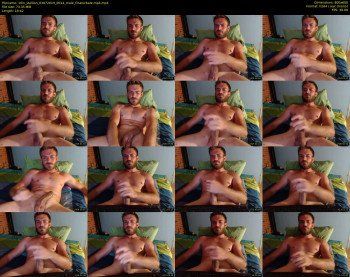 10in_stallion