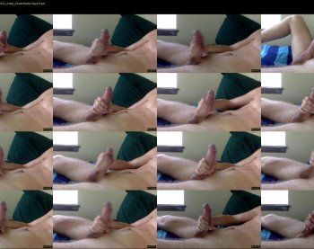 franks_p91_