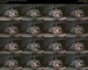 northcock4