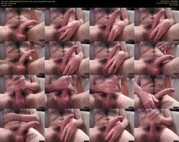 steffan8664
