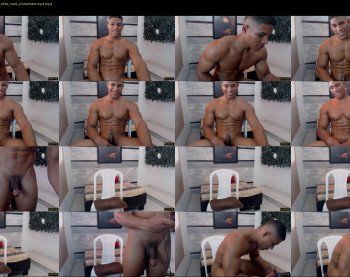 teddyfit19cm