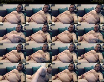 beerbellycub94