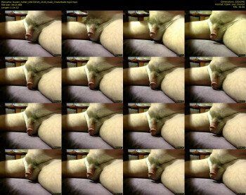 buster_nutter