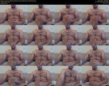 dominick862513