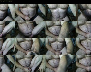 furrybear2