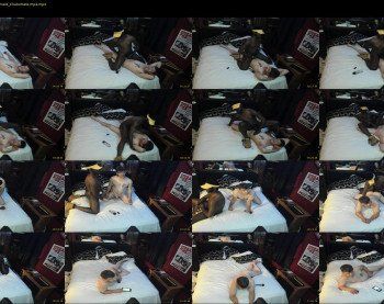 hilty92