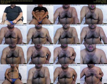 latino_bear