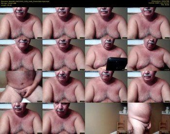 tbear66