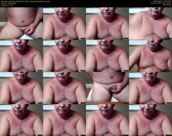 tbear66