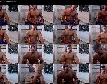 teddyfit19cm