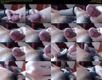 asianpuppybb
