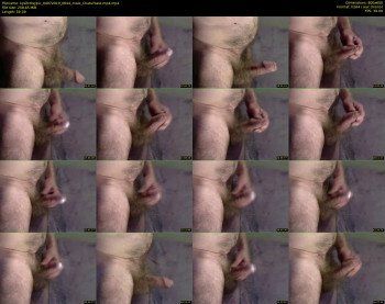 kysifrotsypic