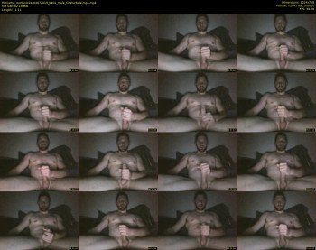 northcock4