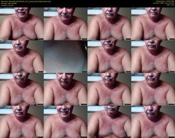 tbear66