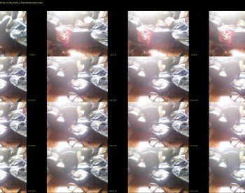 waynesgl1234