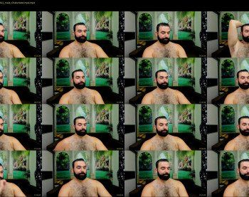 misterlov3r