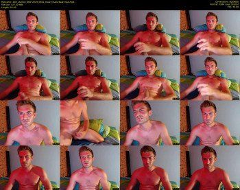 10in_stallion