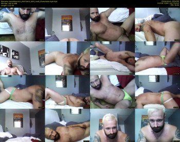 beardbeard11
