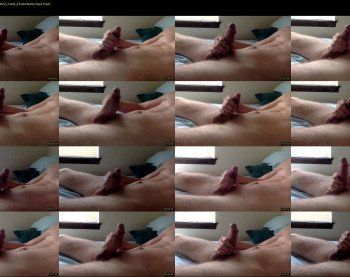 franks_p91_