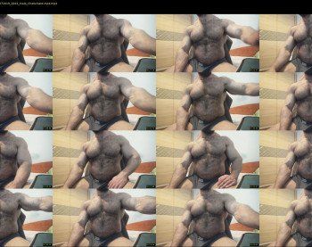 heavilymuscledbeast