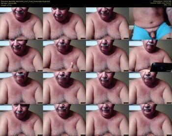 tbear66