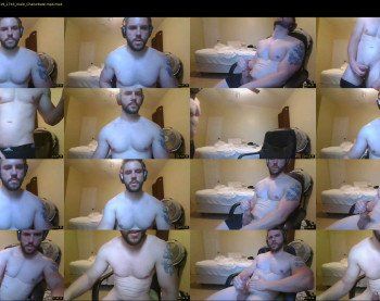 vanillagorilla365