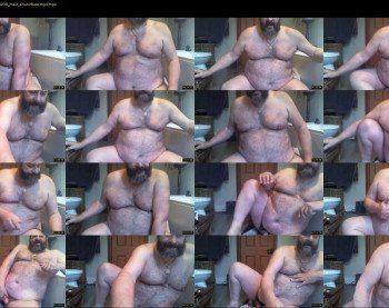 bearsteve75