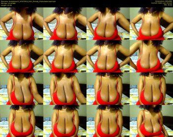 bustytessa37